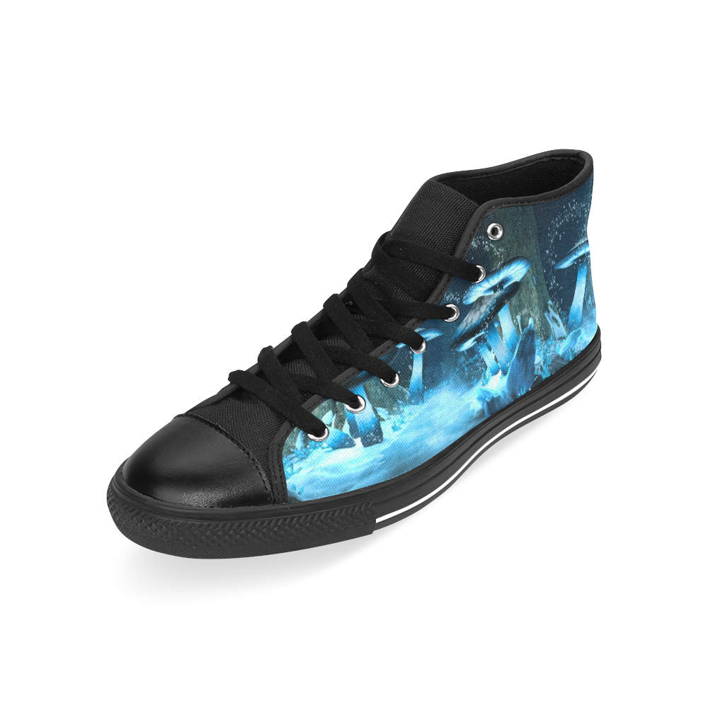 Blue Ice Fairytale World Men’s Classic High Top Canvas Shoes /Large Size (Model 017)