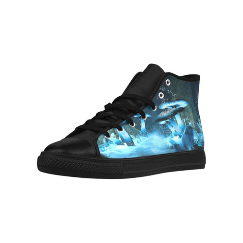 Blue Ice Fairytale World Aquila High Top Microfiber Leather Men's Shoes/Large Size (Model 032)