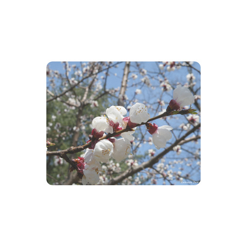 Apricot Blossoms Rectangle Mousepad
