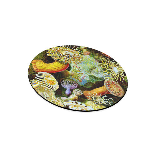Sea Anemones Ernst Haeckel Fine Art Round Mousepad