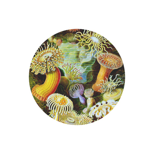 Sea Anemones Ernst Haeckel Fine Art Round Mousepad