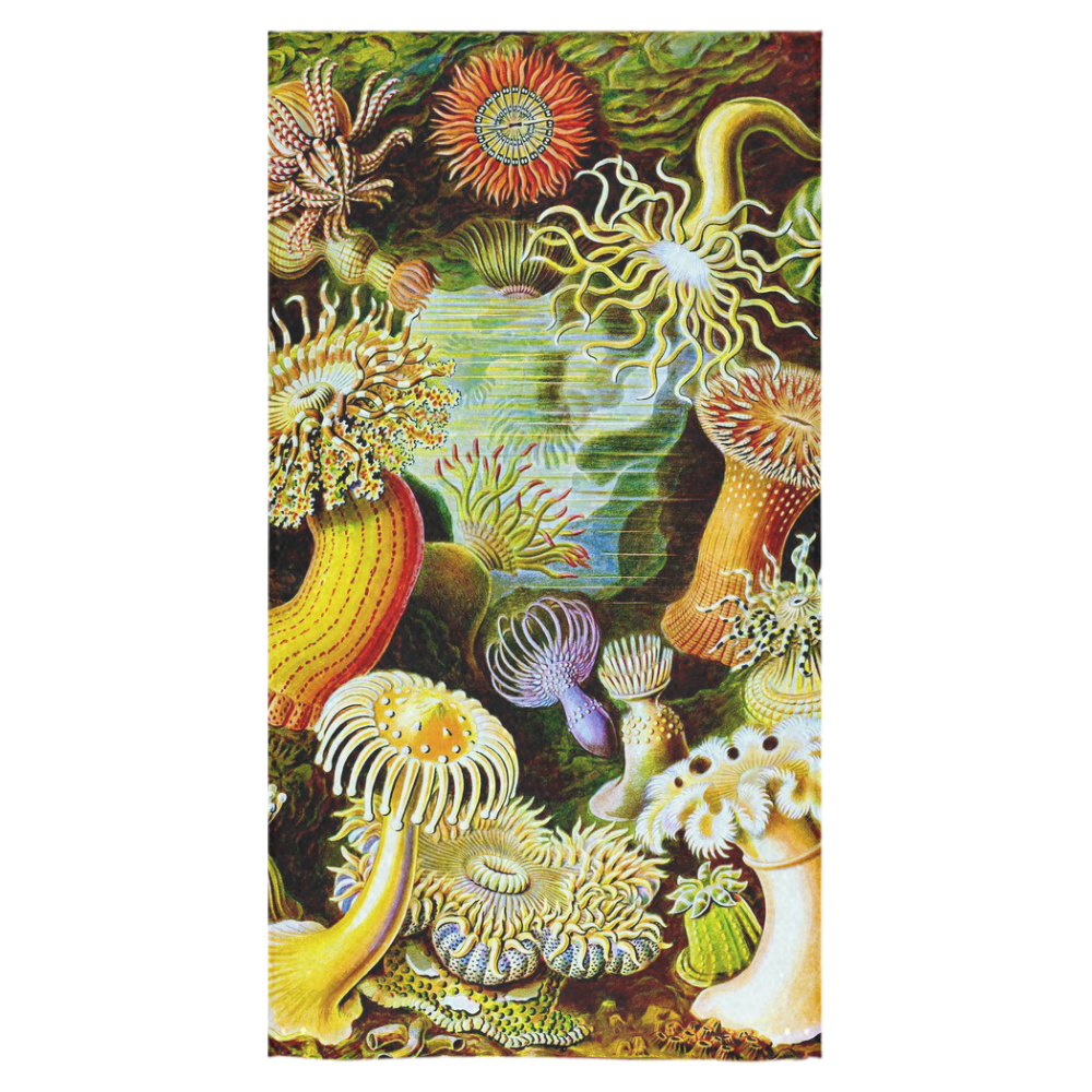 Sea Anemones Ernst Haeckel Fine Art Bath Towel 30"x56"