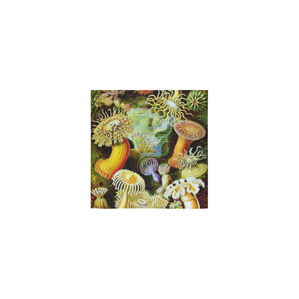 Sea Anemones Ernst Haeckel Fine Art Square Towel 13“x13”