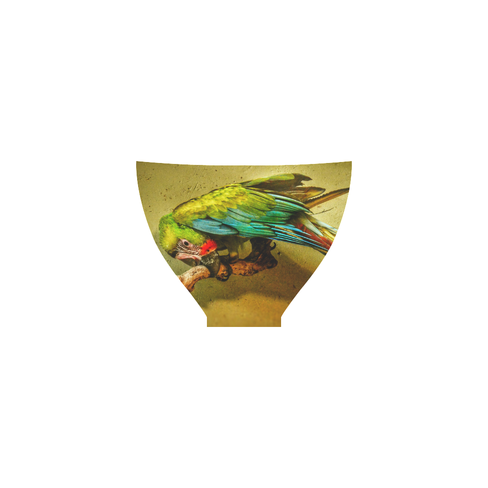 Parrot Custom Bikini Swimsuit