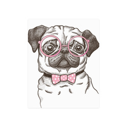 pug in glasses Poster 16"x20"
