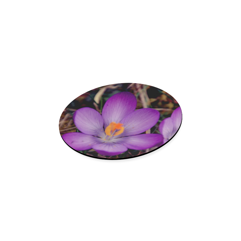 Violet Round Coaster