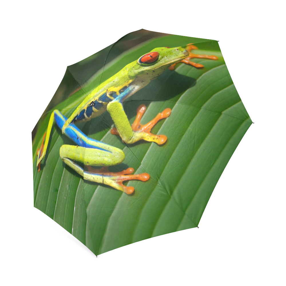 Green Red-Eyed Tree Frog - Tropical Rainforest Animal Foldable Umbrella (Model U01)