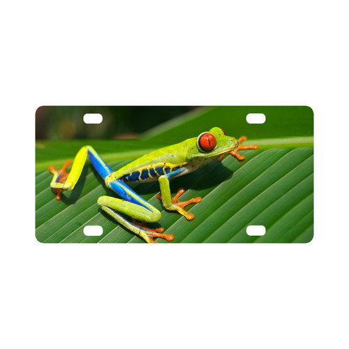 Green Red-Eyed Tree Frog - Tropical Rainforest Animal Classic License Plate