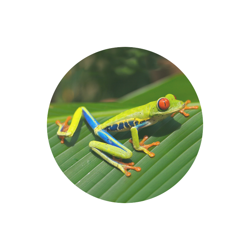 Green Red-Eyed Tree Frog - Tropical Rainforest Animal Round Mousepad