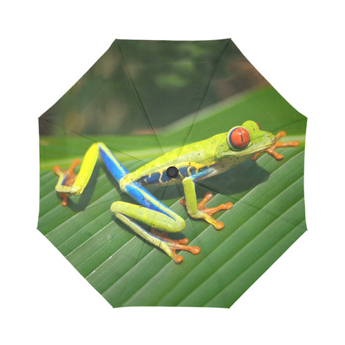 Green Red-Eyed Tree Frog - Tropical Rainforest Animal Auto-Foldable Umbrella (Model U04)