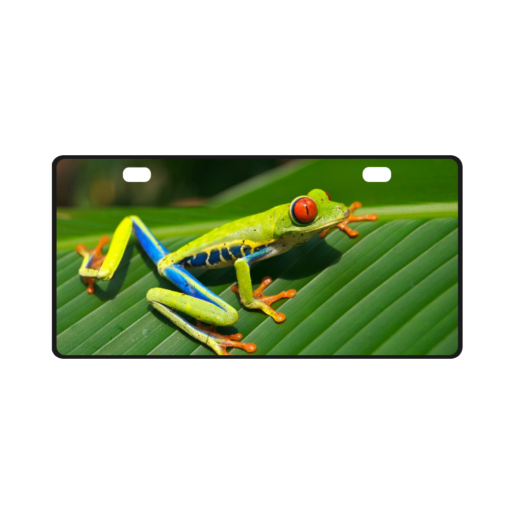 Green Red-Eyed Tree Frog - Tropical Rainforest Animal License Plate