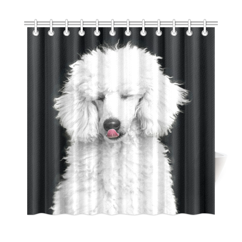 Silly White Poodle Shower Curtain 72"x72"