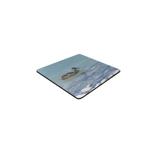 Swimming Duck, watercolor bird Square Coaster