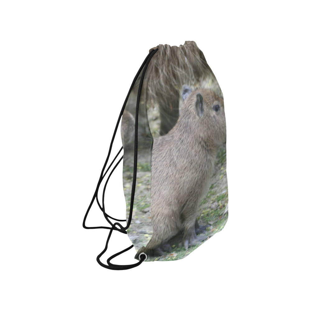 capybara baby Small Drawstring Bag Model 1604 (Twin Sides) 11"(W) * 17.7"(H)