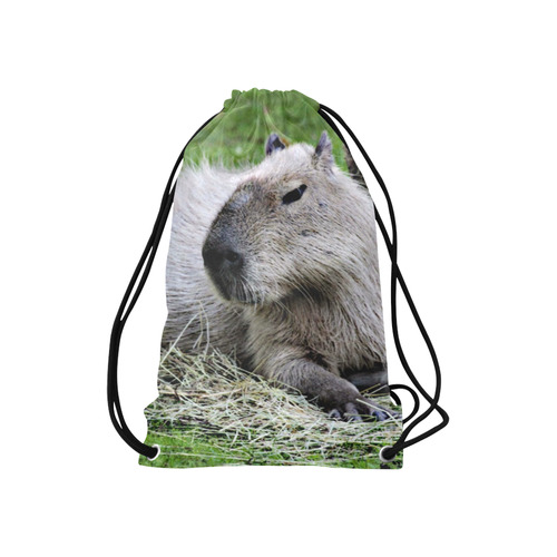 capybara Small Drawstring Bag Model 1604 (Twin Sides) 11"(W) * 17.7"(H)