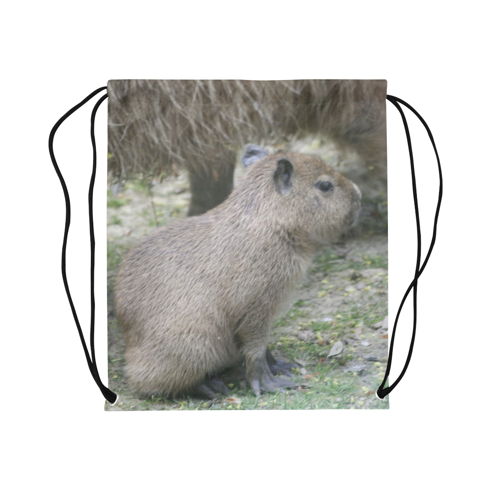 capybara baby Large Drawstring Bag Model 1604 (Twin Sides)  16.5"(W) * 19.3"(H)
