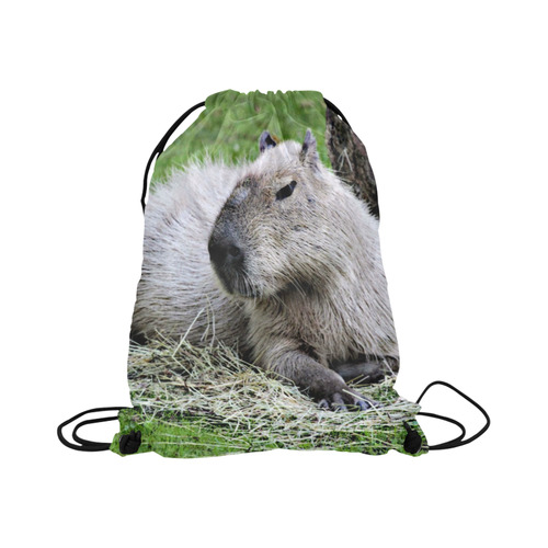 capybara Large Drawstring Bag Model 1604 (Twin Sides)  16.5"(W) * 19.3"(H)
