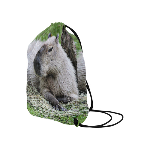 capybara Large Drawstring Bag Model 1604 (Twin Sides)  16.5"(W) * 19.3"(H)