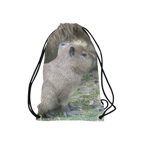 capybara baby Small Drawstring Bag Model 1604 (Twin Sides) 11"(W) * 17.7"(H)