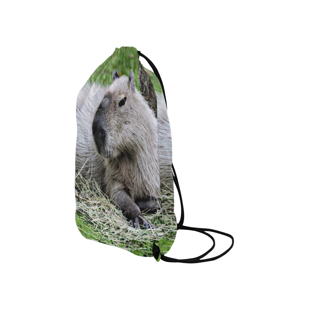 capybara Small Drawstring Bag Model 1604 (Twin Sides) 11"(W) * 17.7"(H)