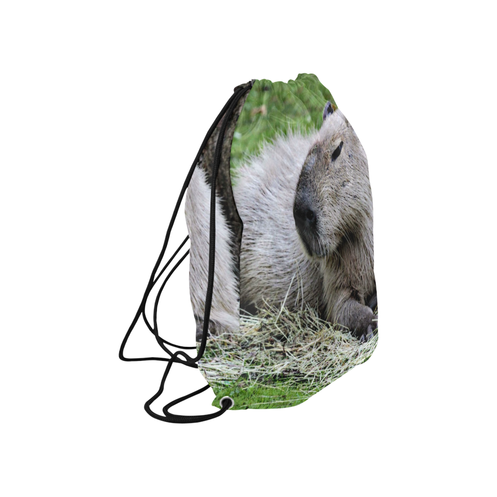 capybara Large Drawstring Bag Model 1604 (Twin Sides)  16.5"(W) * 19.3"(H)