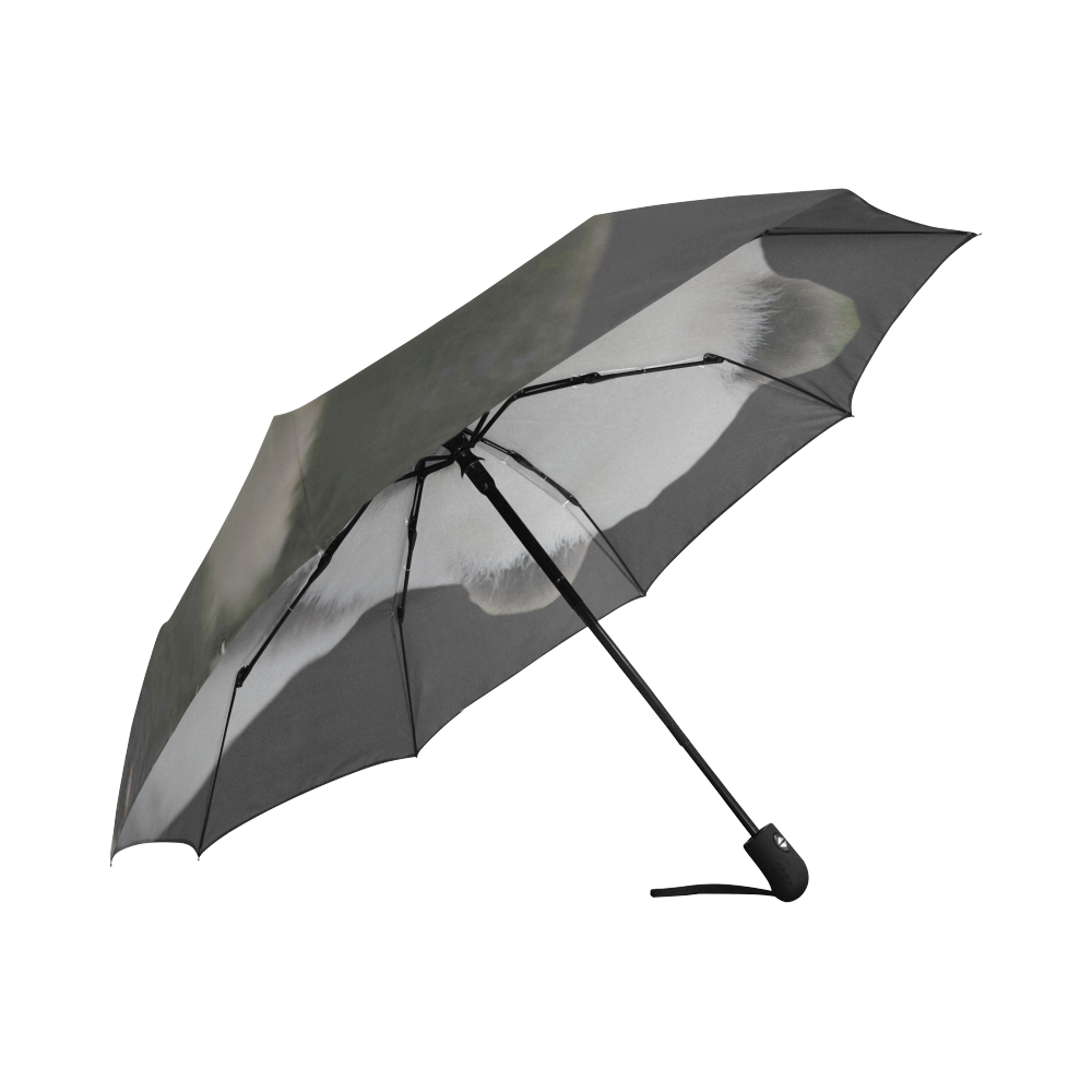 Panda Bear Auto-Foldable Umbrella (Model U04)