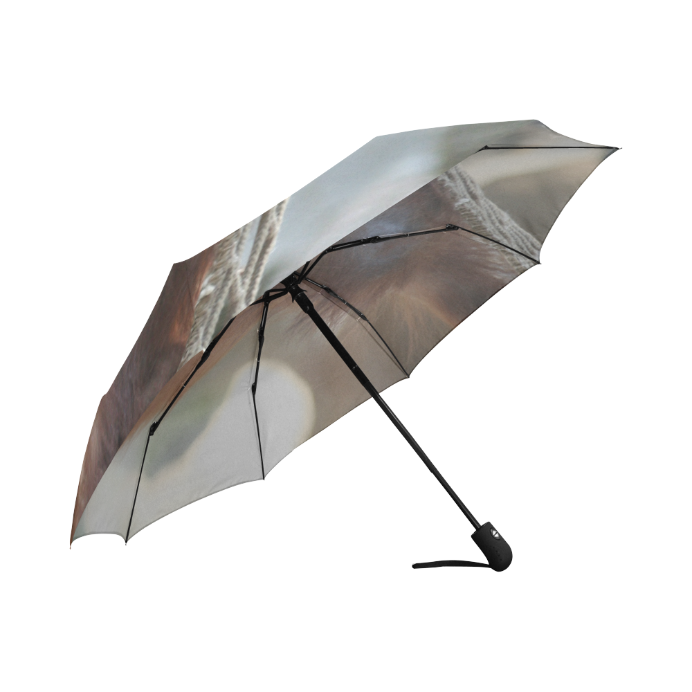 Orang Utan 20150904 Auto-Foldable Umbrella (Model U04)