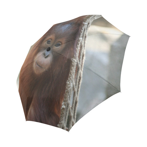 Orang Utan 20150904 Auto-Foldable Umbrella (Model U04)