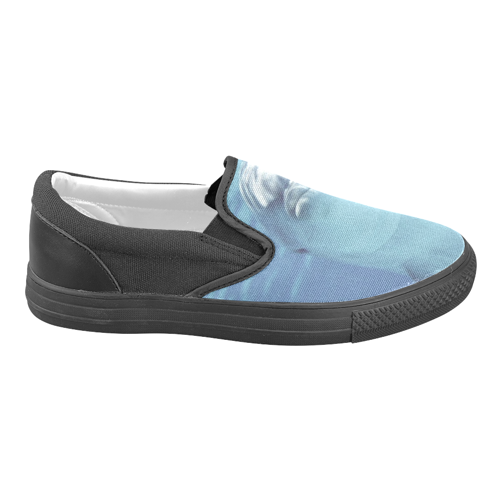 cute dolphin by JamColors Slip-on Canvas Shoes for Men/Large Size (Model 019)