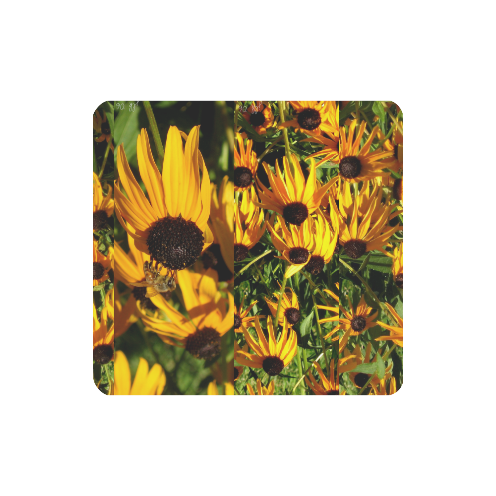 Black-eyed Susans 3 Women's Clutch Purse (Model 1637)