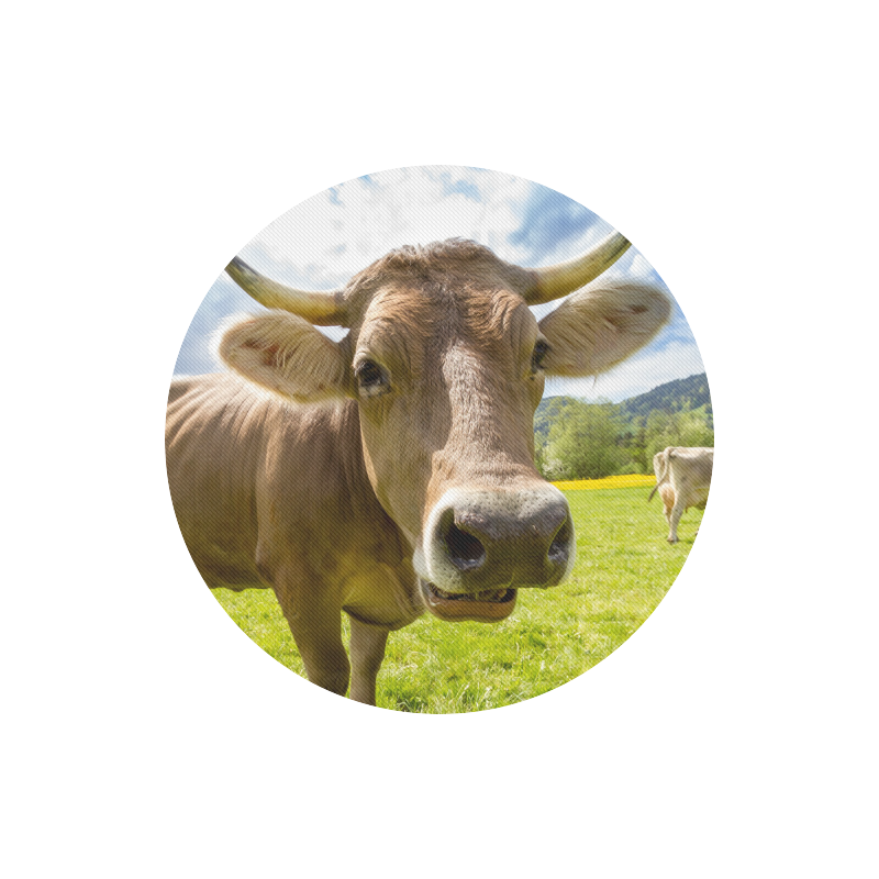 Photography Pretty Blond Cow On Grass Round Mousepad