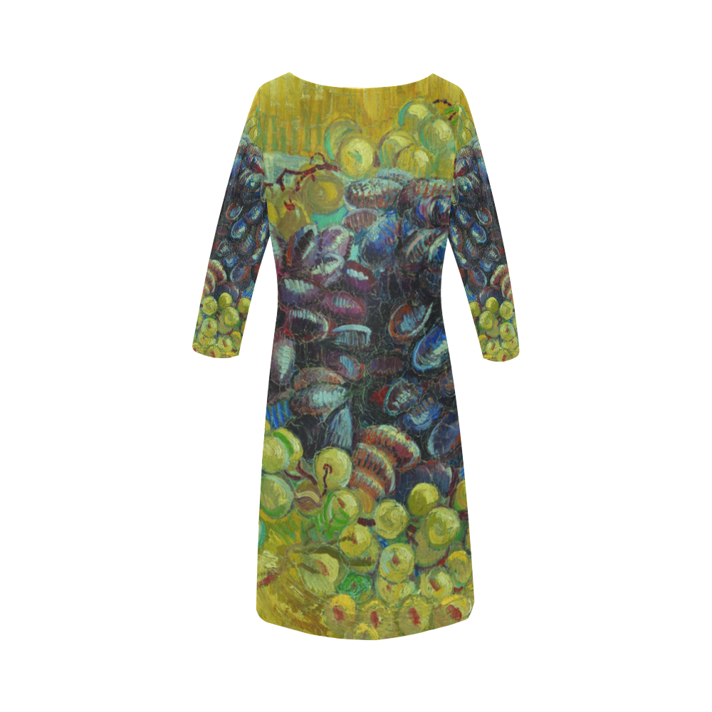 Vincent van Gogh Grapes Fine Art Painting Round Collar Dress (D22)