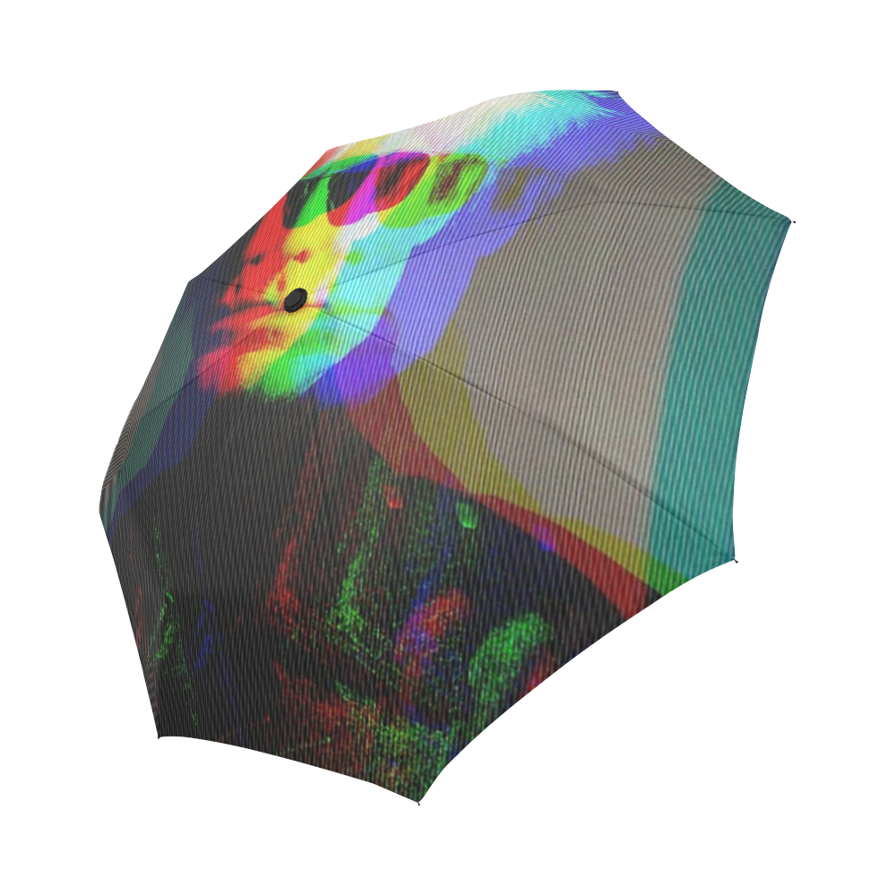 Warhol Umbrella Auto-Foldable Umbrella (Model U04)