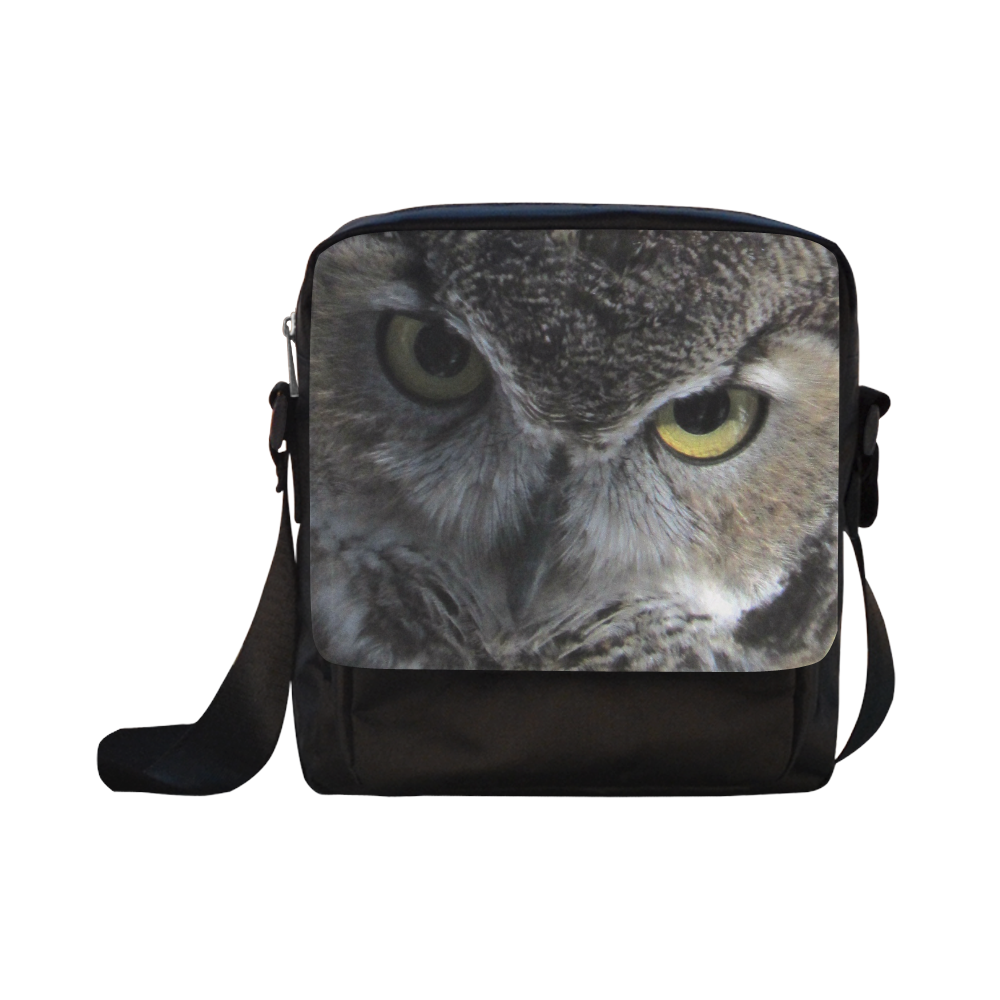 Owl Focus by Martina Webster Crossbody Nylon Bags (Model 1633)