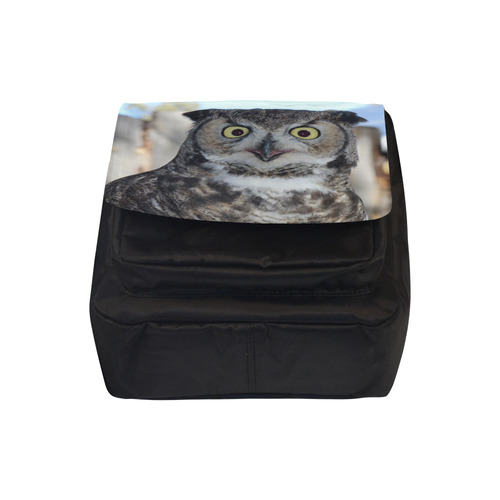 Owl Pride by Martina Webster Crossbody Nylon Bags (Model 1633)