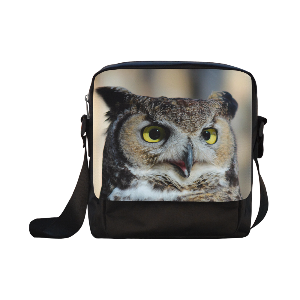 Owl Love by Martina Webster Crossbody Nylon Bags (Model 1633)