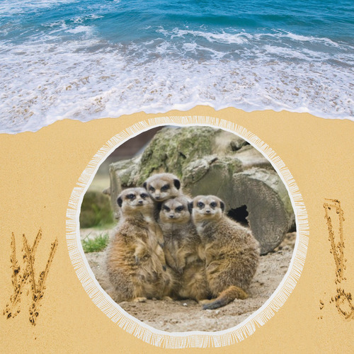 Family Pic,meerkats  by JamColors Circular Beach Shawl 59"x 59"