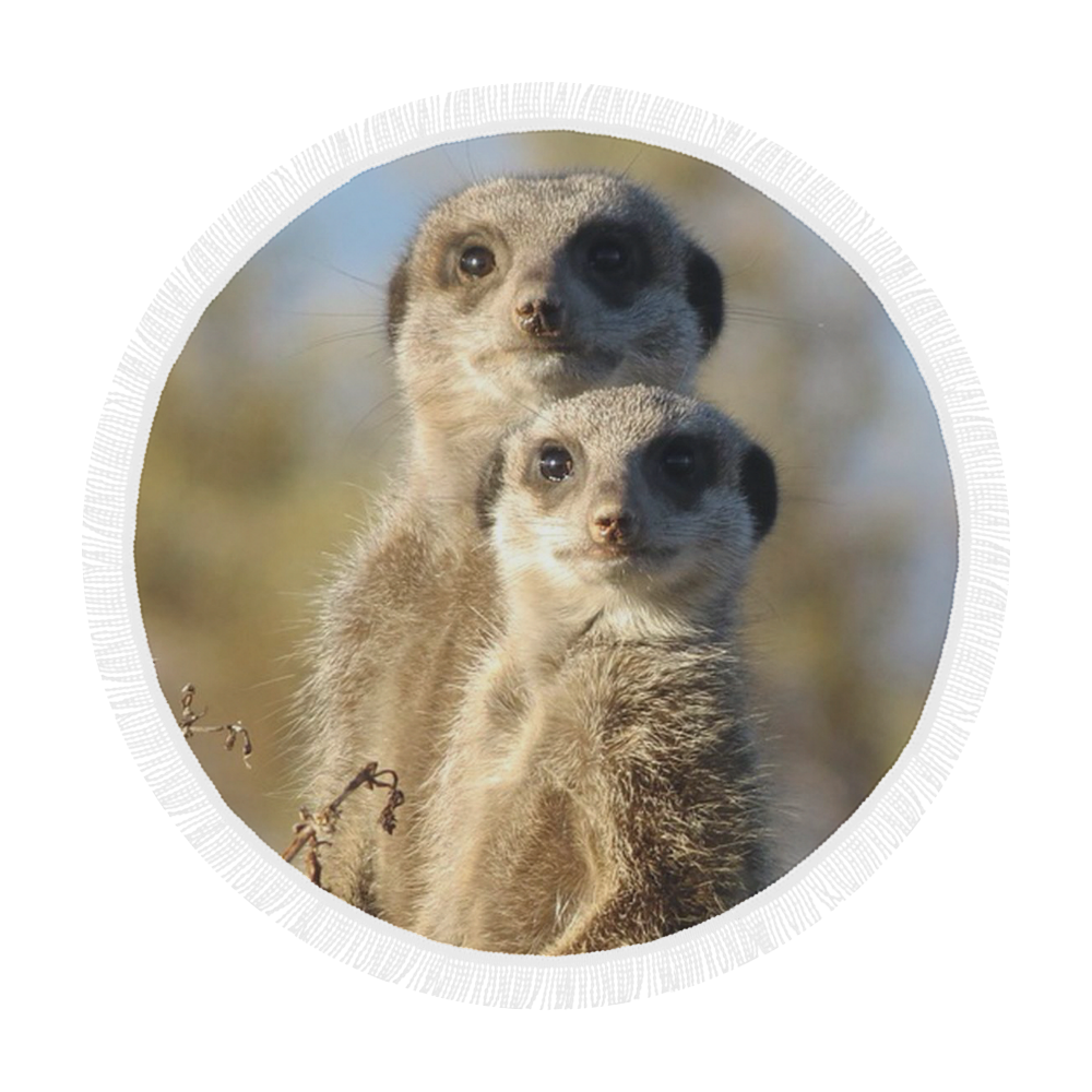 cute meerkats  by JamColors Circular Beach Shawl 59"x 59"