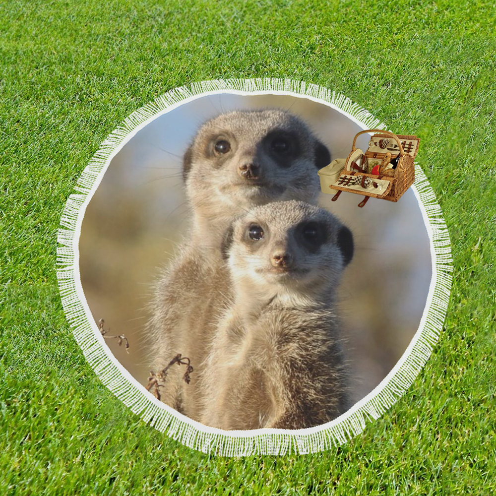 cute meerkats  by JamColors Circular Beach Shawl 59"x 59"