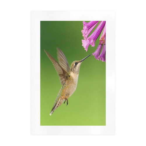 Hummingbird Delight Art Print 19‘’x28‘’