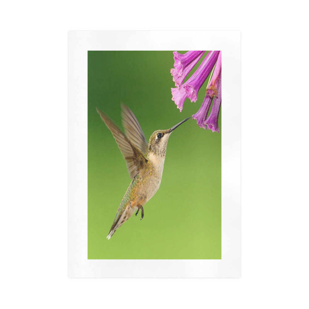 Hummingbird Delight Art Print 16‘’x23‘’