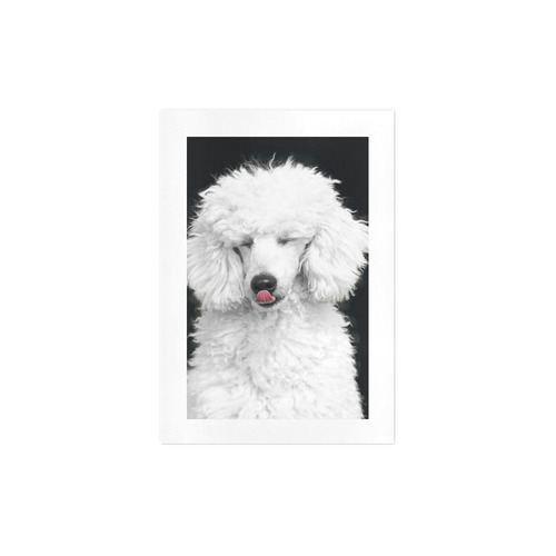 Silly White Poodle Art Print 7‘’x10‘’