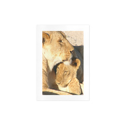 Lion And Cub Love Art Print 7‘’x10‘’