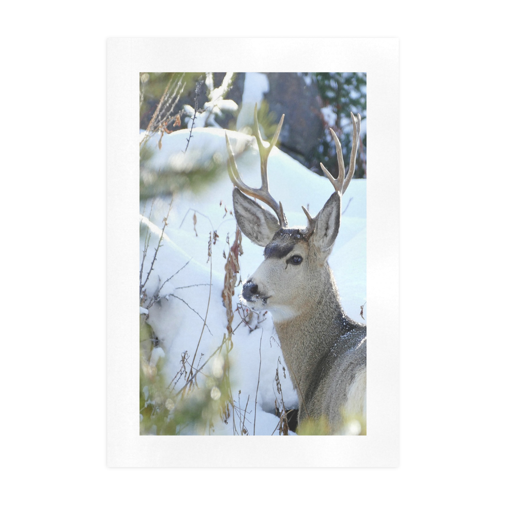 Deer In The Snow Art Print 19‘’x28‘’
