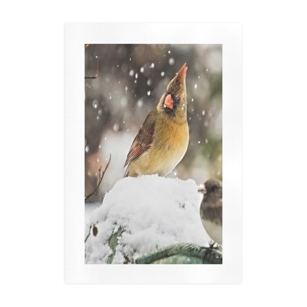 Cardinal In The Snow Art Print 19‘’x28‘’