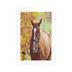 Autumn Horse Art Print 16‘’x23‘’