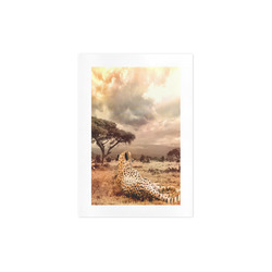 Savanna Cheetah Art Print 7‘’x10‘’