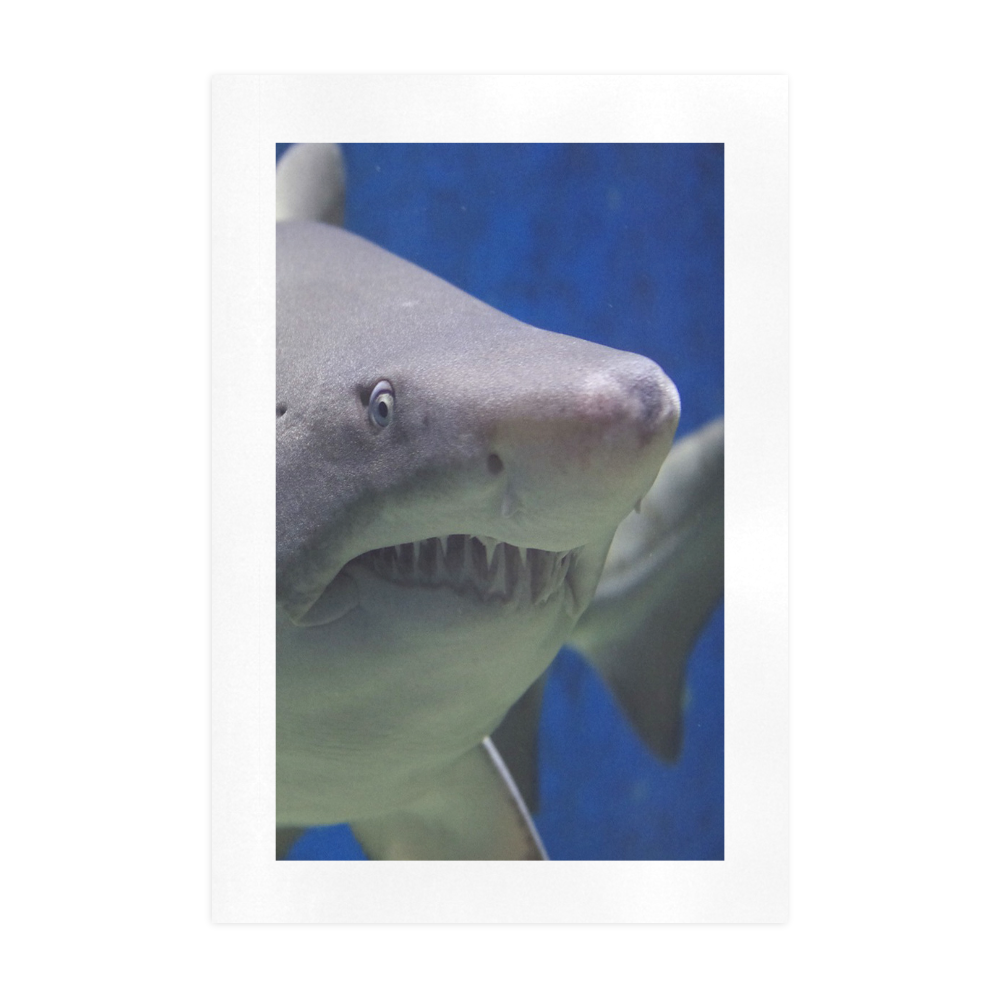 Great White Shark Attack Art Print 19‘’x28‘’