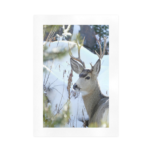Deer In The Snow Art Print 16‘’x23‘’