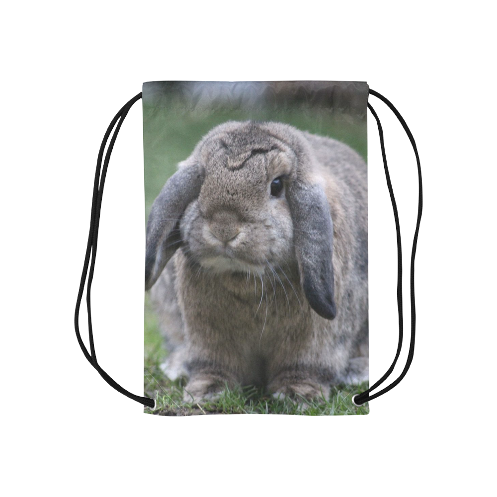 bunny by JamColors Small Drawstring Bag Model 1604 (Twin Sides) 11"(W) * 17.7"(H)